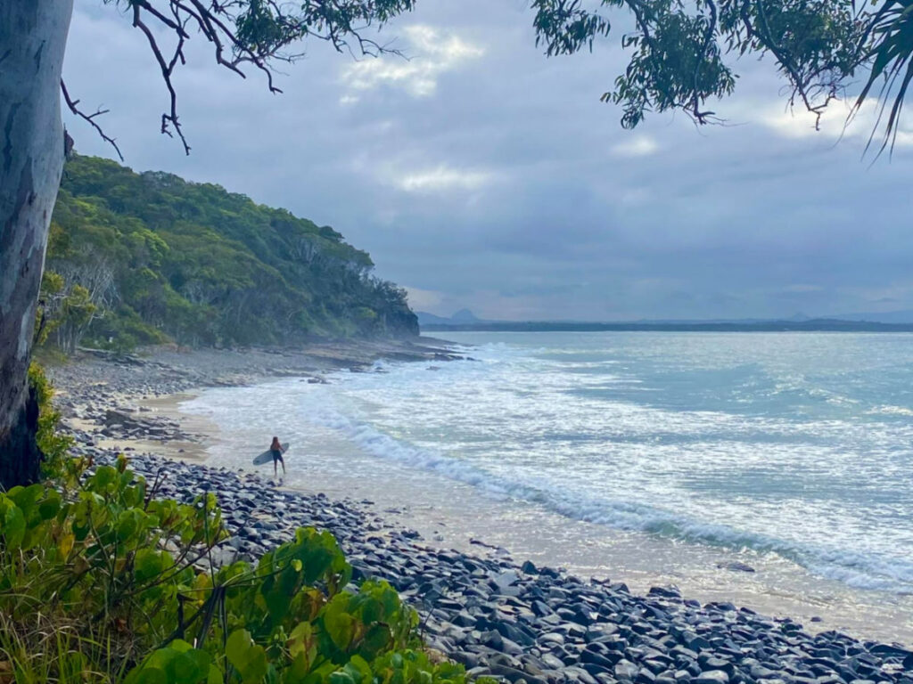 A surfer looks out over the water in Noosa National Park