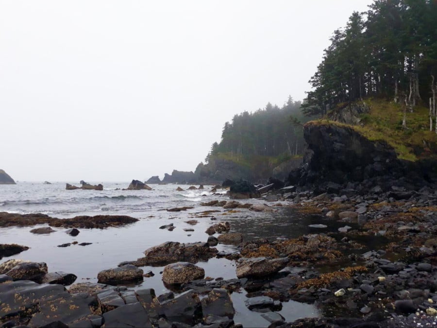 View of the coastal trail hike at Fort Abercrombie on a gloomy day