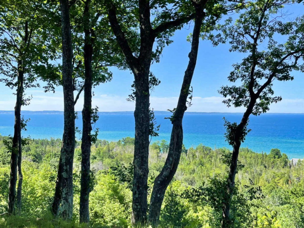 A scenic view of the ocean from a hillside, surrounded by lush green trees