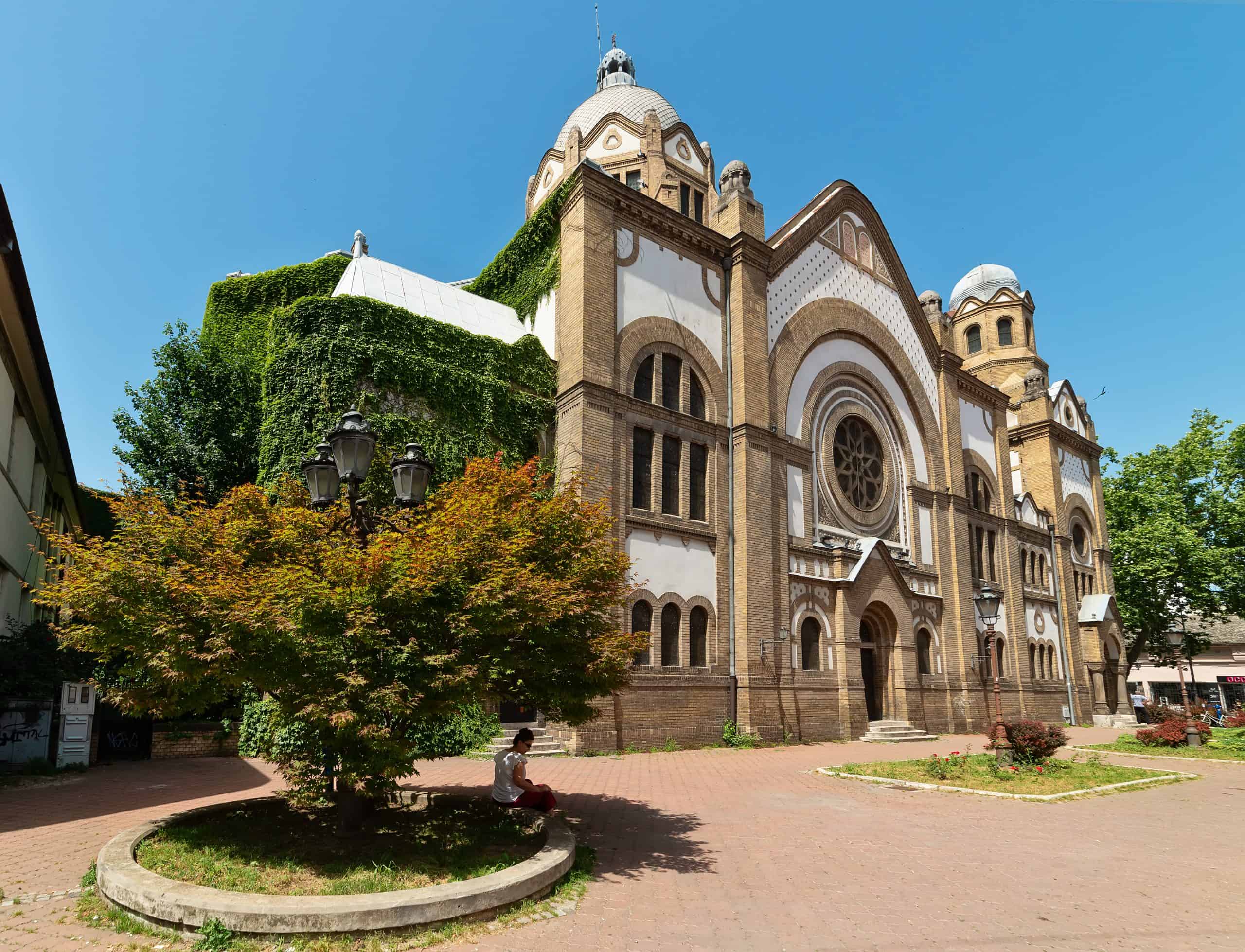 Girl sitting under a tree beside the Synagogue
