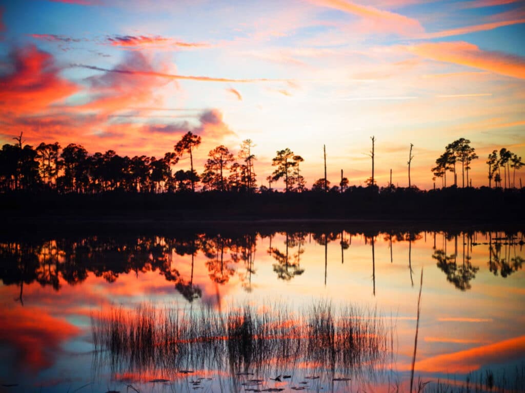 Scenic view of Ocala National Forest reflecting on the water at sunset