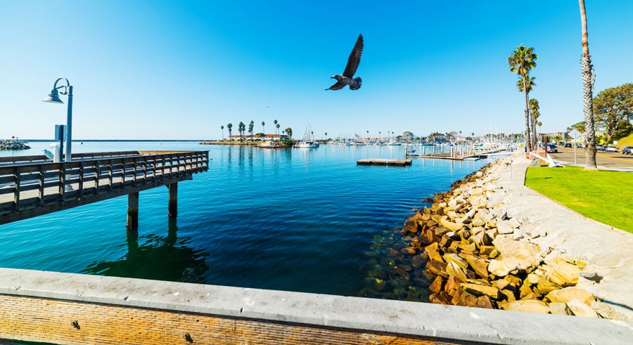 View of a seagull flying around the Oceanside Harbor and the clear blue sky on the background