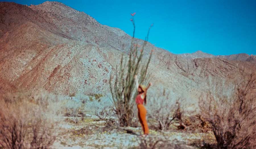 The author posing for a photo with the octillo plant in Palm Springs