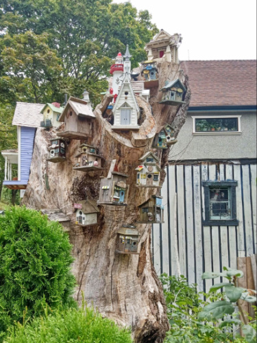 An  Off-the-wall creations on a tree