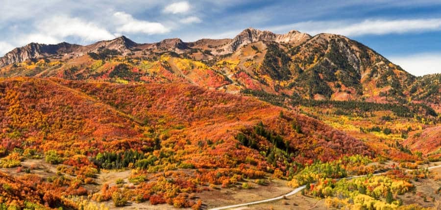 Panoramic view of the beautiful Mt Ogden during autumn