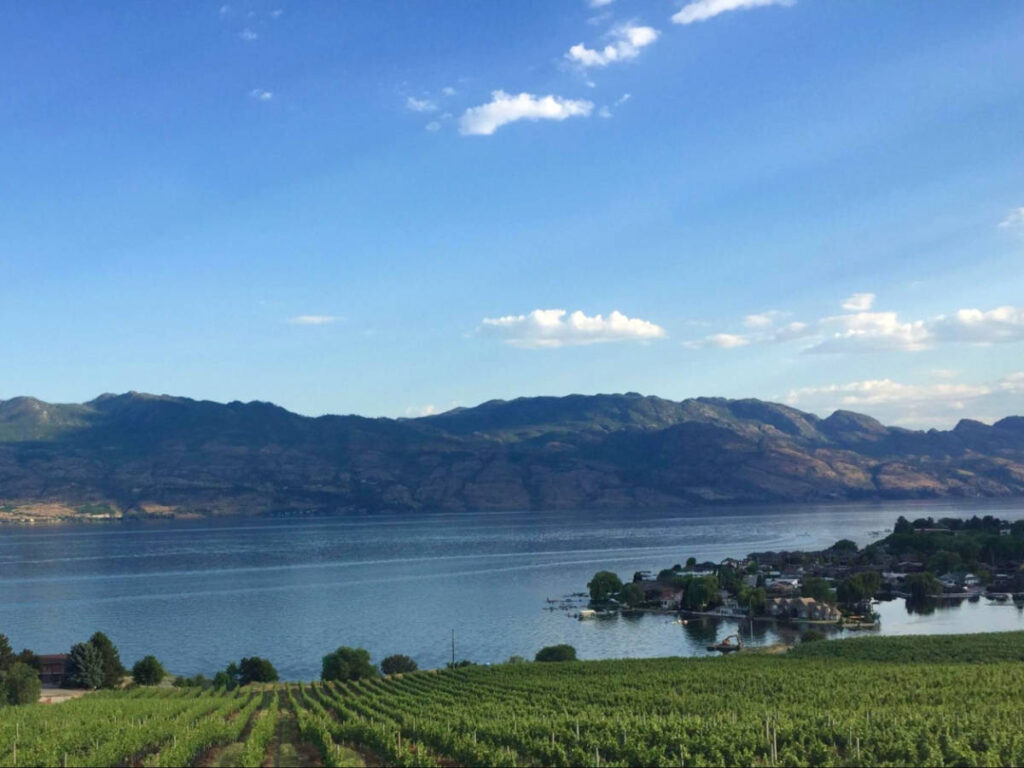 Panoramic view of the waterfront at the vineyard in Okanagan Valley Wineries