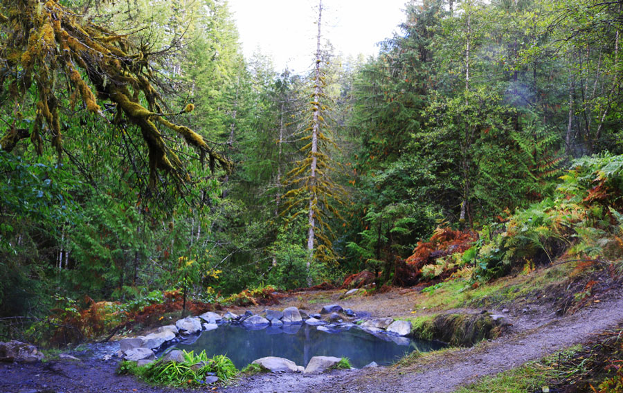 View of Olympic Hot Spring in the wilderness