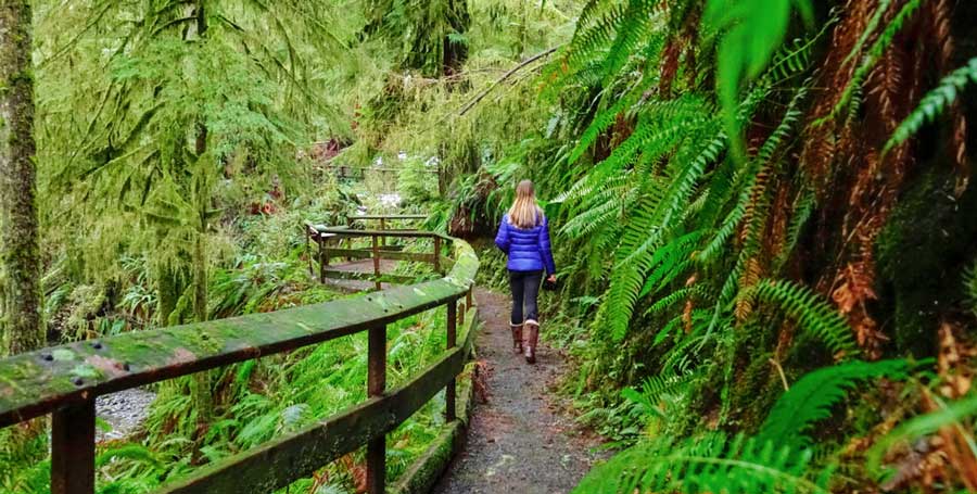 A woman walking at a trail in Olympic National Park