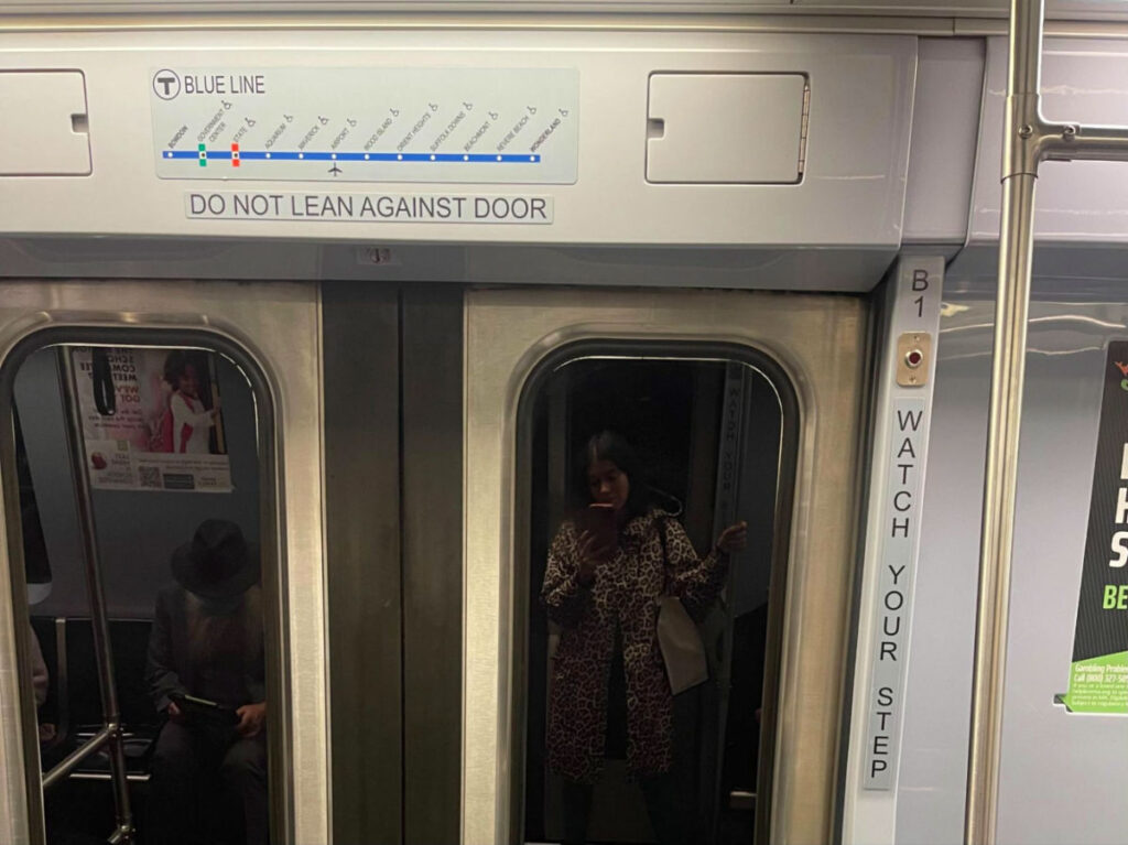 Travel Lemming author Claudicet taking a picture of herself on the Blue Line Train