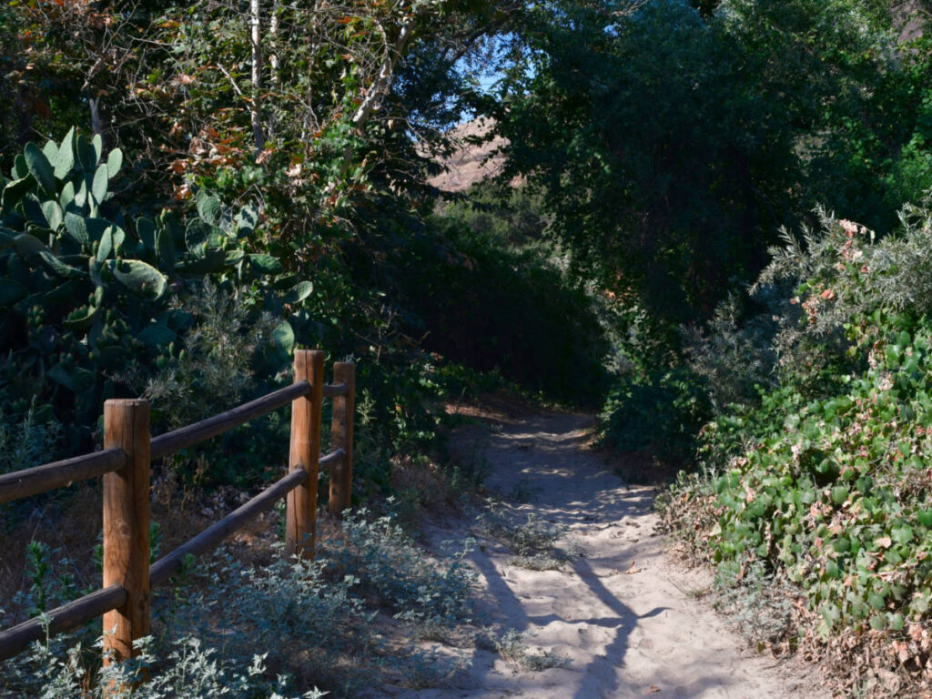 Views on the Santa Margarita River Trail