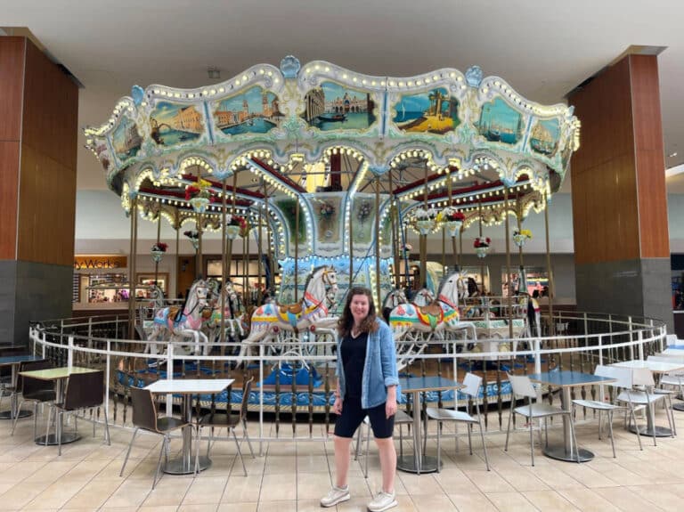 The author, smiling for a photo in front of a carousel in Opry Mills Mall