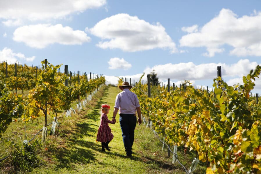 A man and a child walking at the vineyard on a sunny day