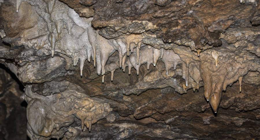 View of the ceiling inside the Oregon Caves National Monument