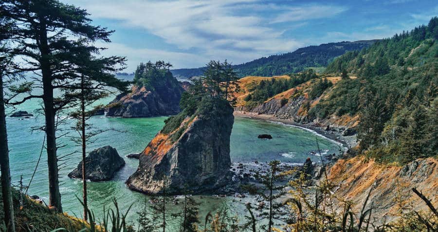 Overlooking view at the Oregon Coast Trail