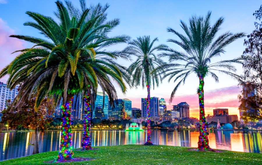View of Orlando skyline at sunset with palm trees