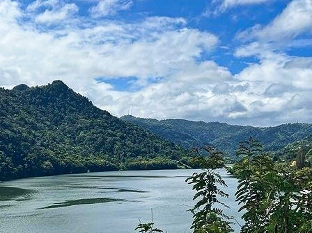Panoramic view of the lush mountains and lake