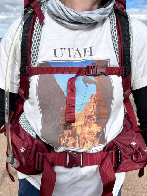 Hip belt of the Osprey Aura AG LT while on Skycie