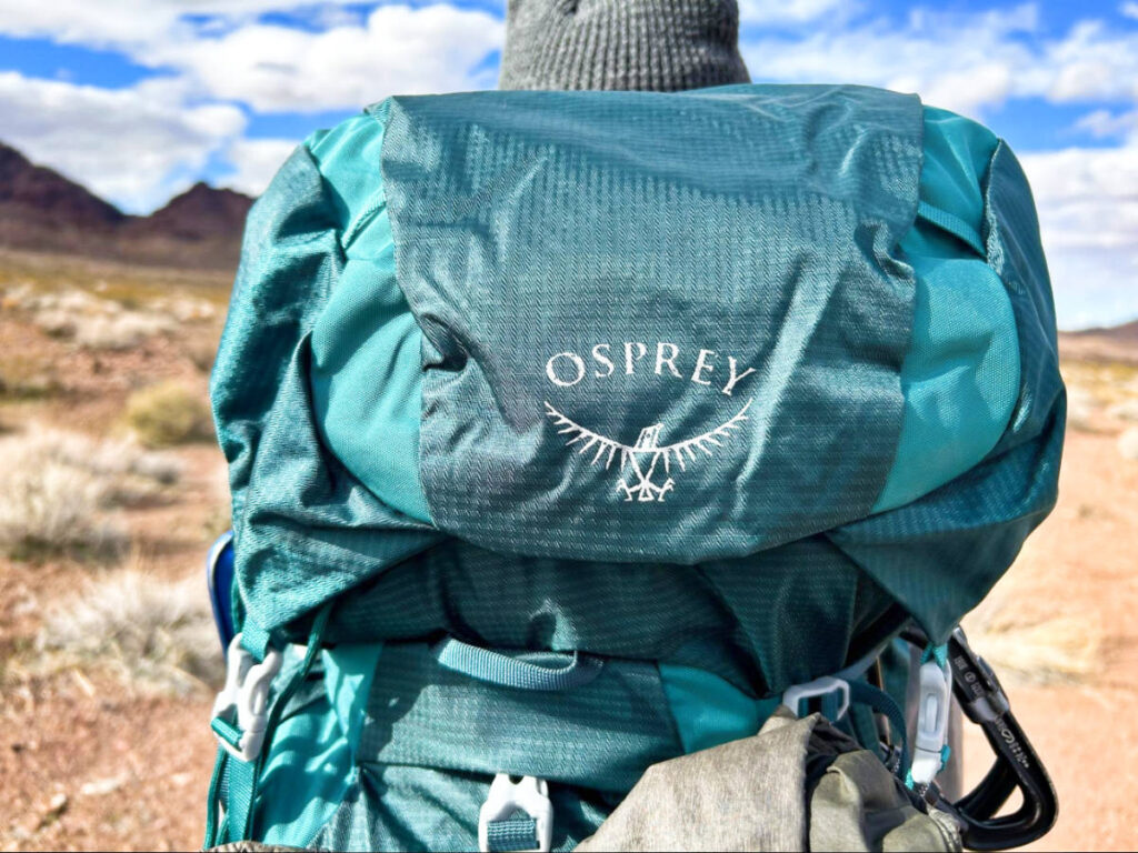 Closeup view of the logo at the front face of Osprey Eja Backpack