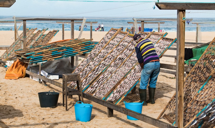 A fisherman checking the racks of dried fish on the beach in Nazare