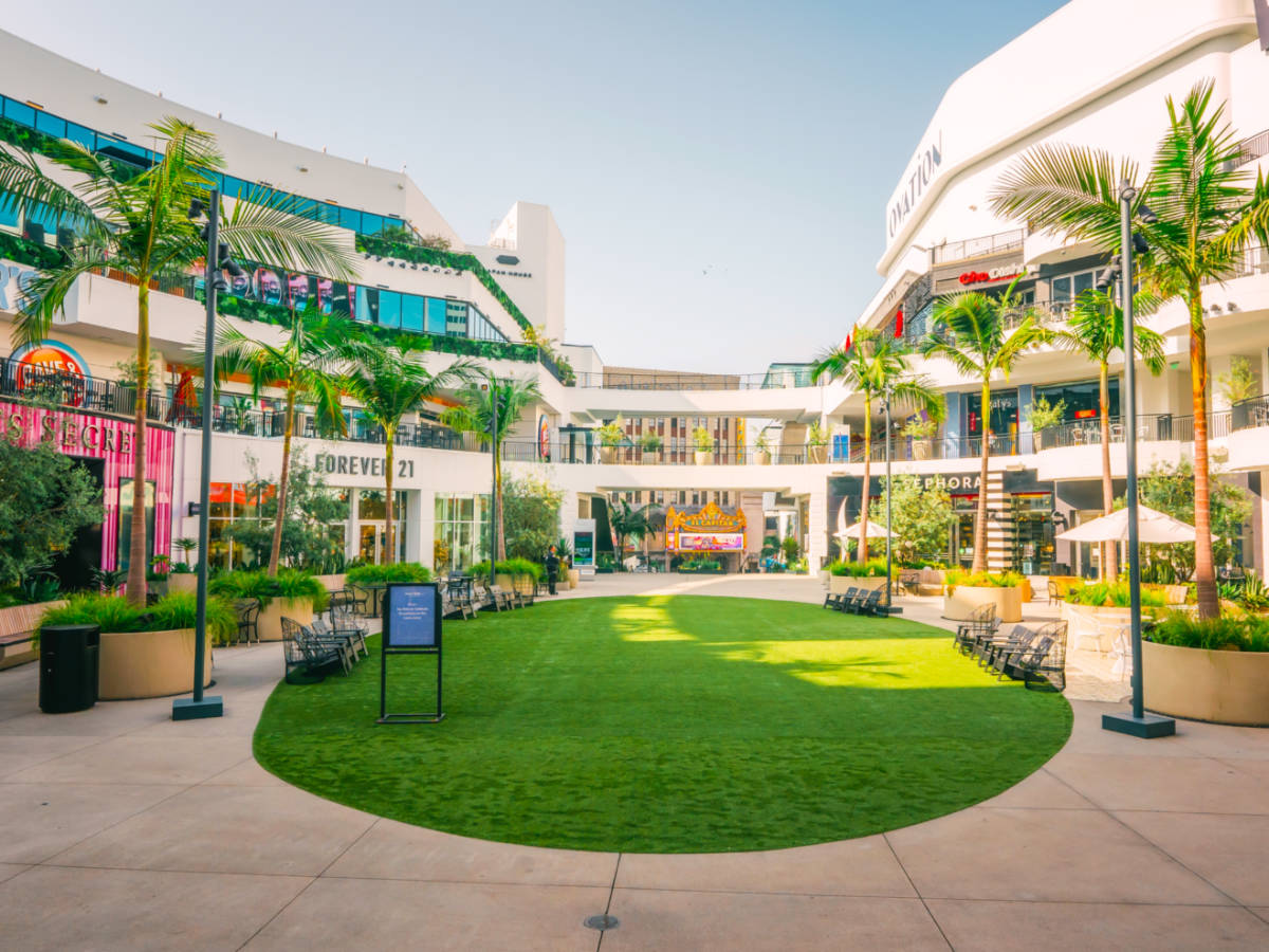 Shopping mall with palm trees and a grassy area at Ovation Hollywood