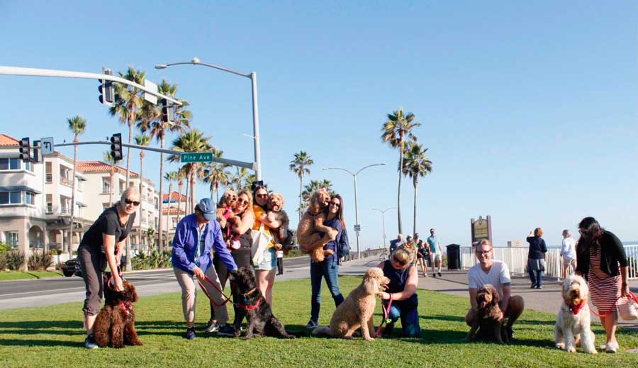 View of people with their dogs posing for a photo during a meetup in Overlook of Carlsbad Village