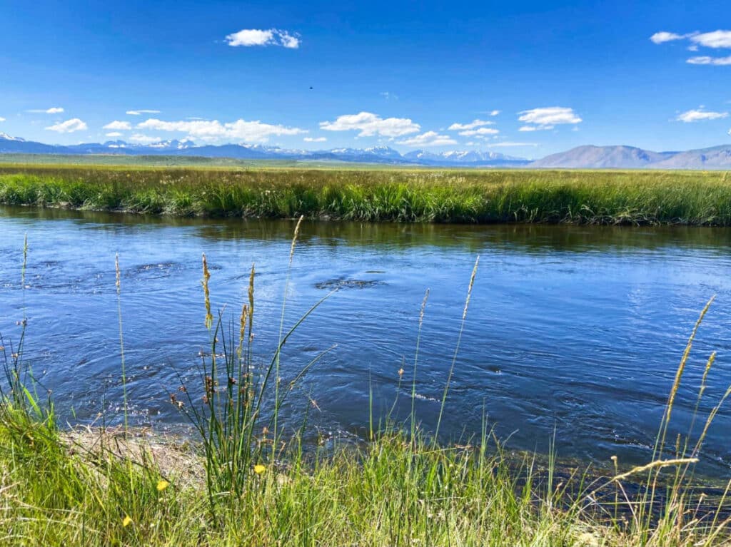 View of the meadow around the Owens River in Mammoth Lakes
