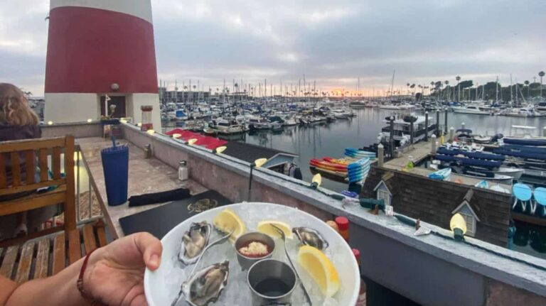A plate of Fresh oyster on ice with lemon served near the harbor