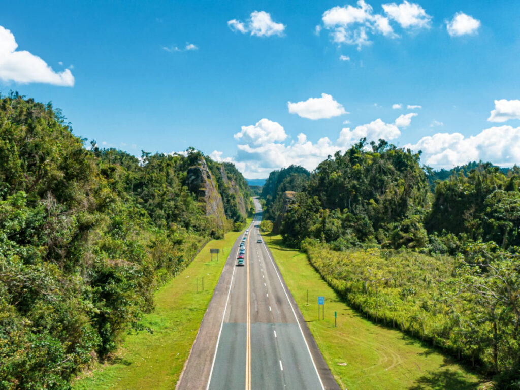 Aerial view of the PR -10 surrounded by greenery