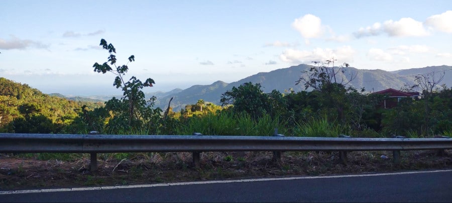 Scenic view along PR- 184 in Patillas
