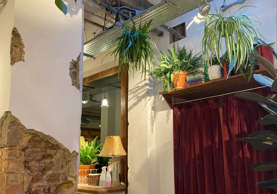 Plants inside the Pachamama