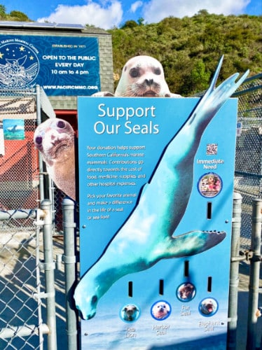 View of a poster to support the seals at the Pacific Marine Mammal Center