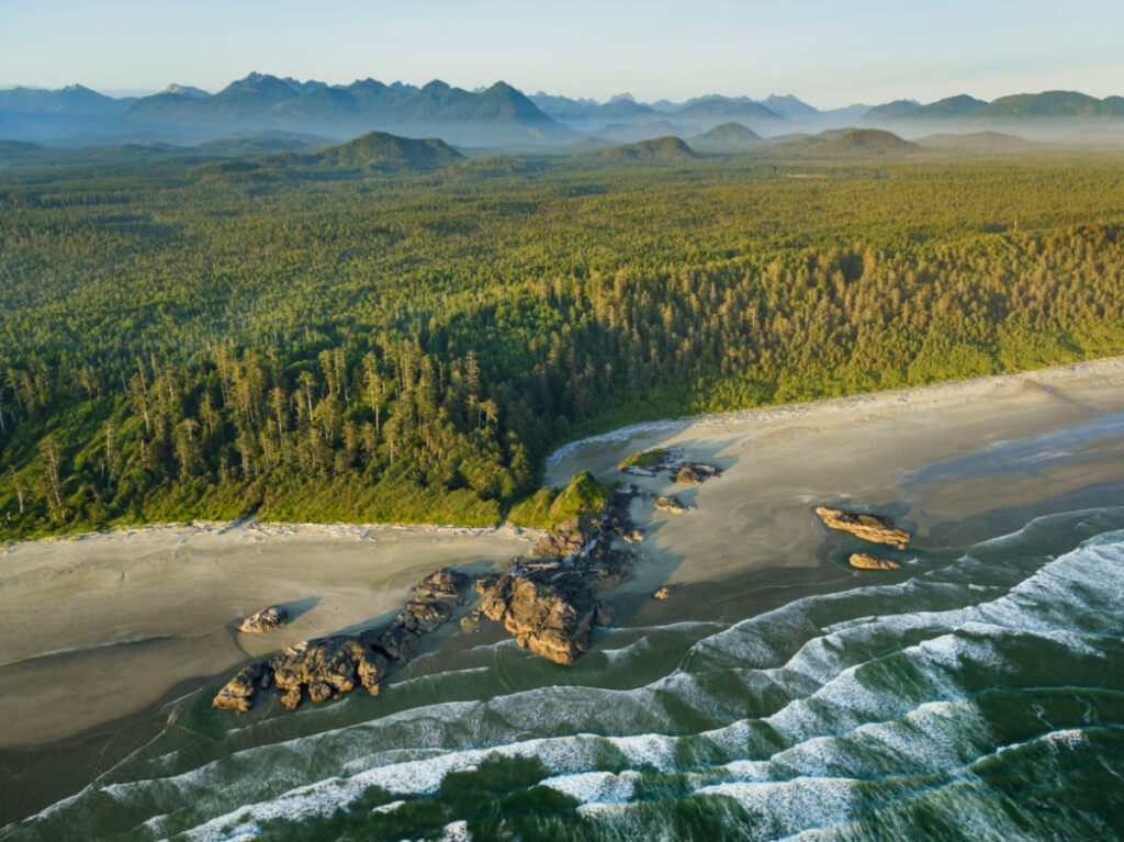 Aerial View of the Pacific Rim National Park Reserve