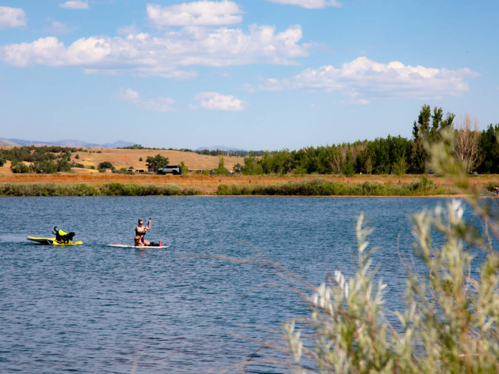 A woman with her dog paddleboarding at the Chatfield State Park