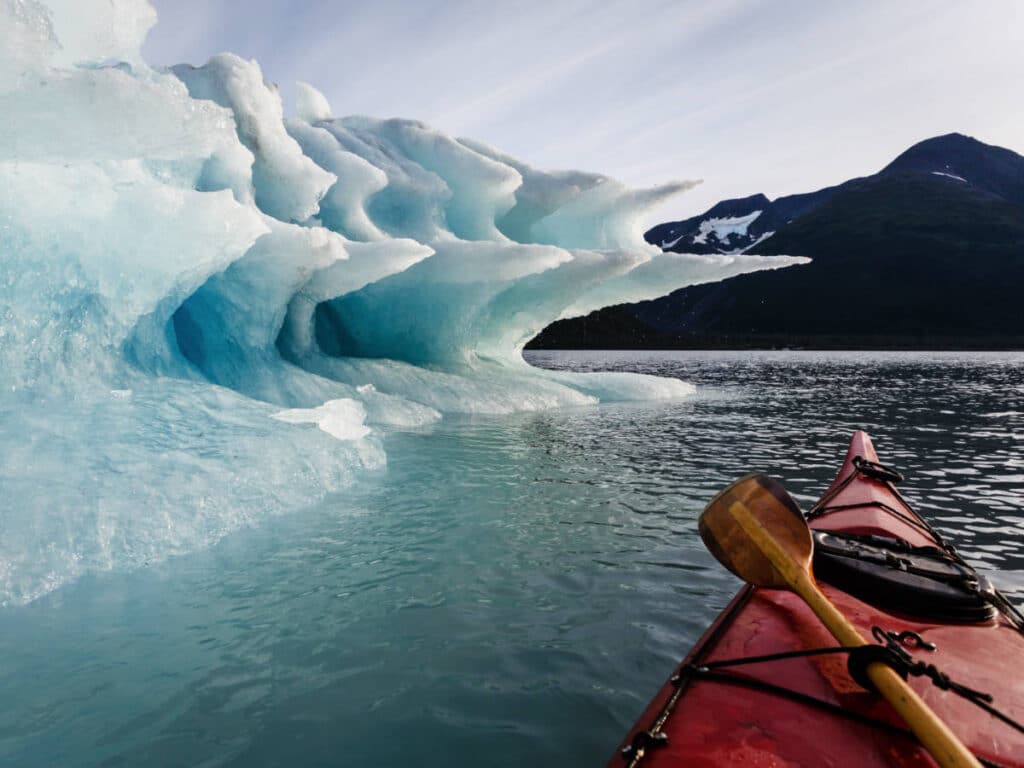 View while paddleboarding at the Kenai Fjords National Park
