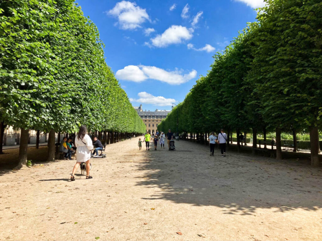The people walking along the tree-lined pathway at the Palais Royal