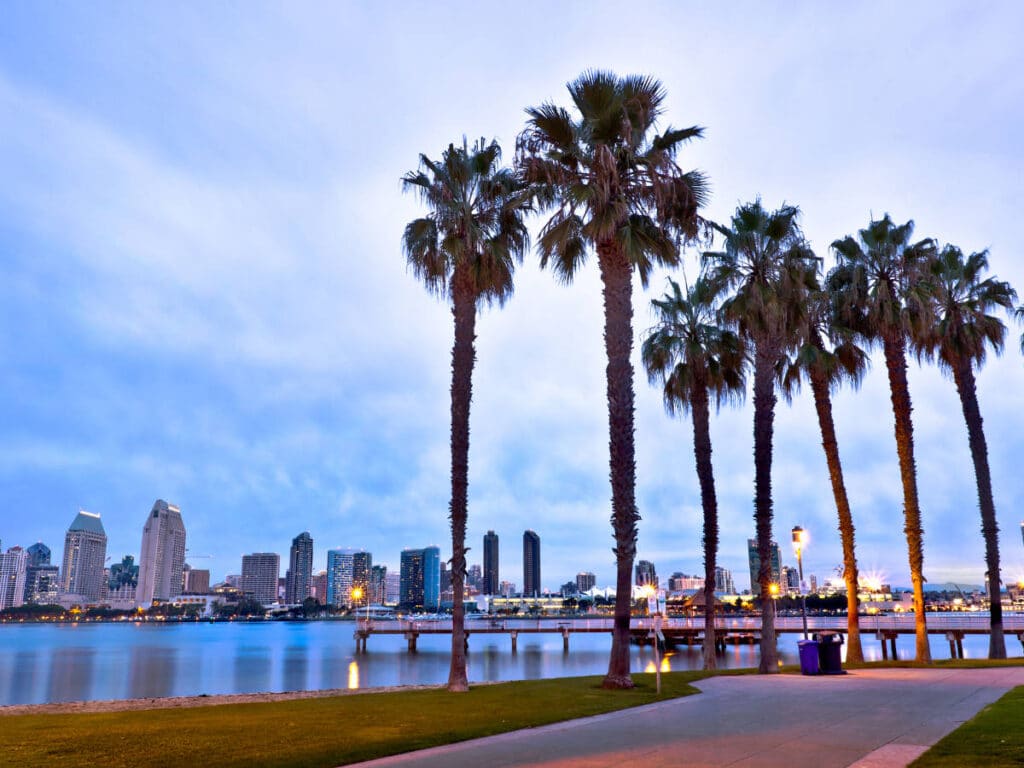 The palm trees and skyline from afar at dusk