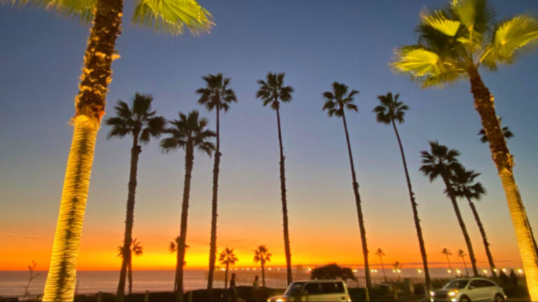 Palm trees at sunset in a Southern Califonia beach town
