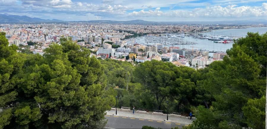 Aerial view of the buildings in Downtown Palma from Bellver Castle's Hill during daytime