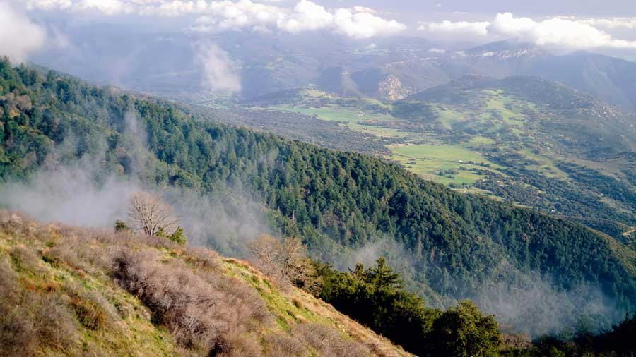 View from the Palomar Mountain Loop