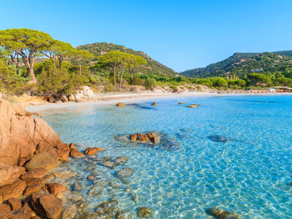 Clear water at the Palombaggia Beach