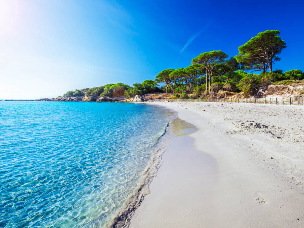 Picturesque view of the trees around the white sand and turquoise blue water of Palombaggia Beach