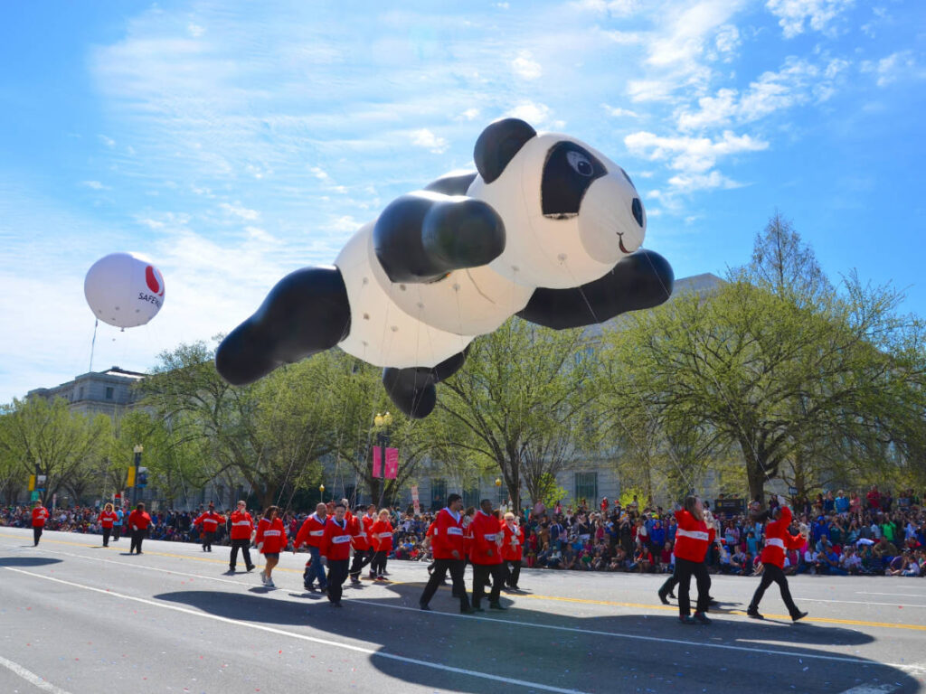 A panda balloon floating during the National Cherry Blossom Festival Parade