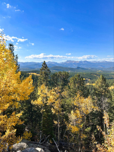The fall foliage around the Panorama Point in Golden Gate Canyon State Park