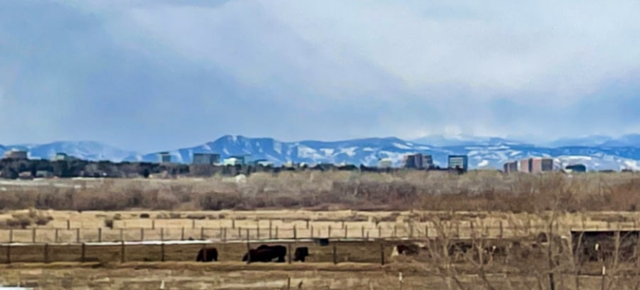 Panoramic view of the spacious backyard playground in Denver