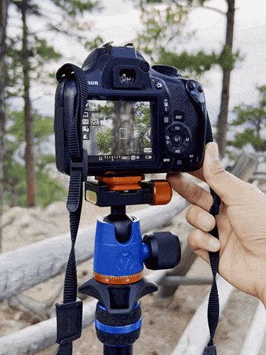 Panoramic shoot from a mounted DSLR on 3 Legged Thing Punks Corey 2.0 Tripod