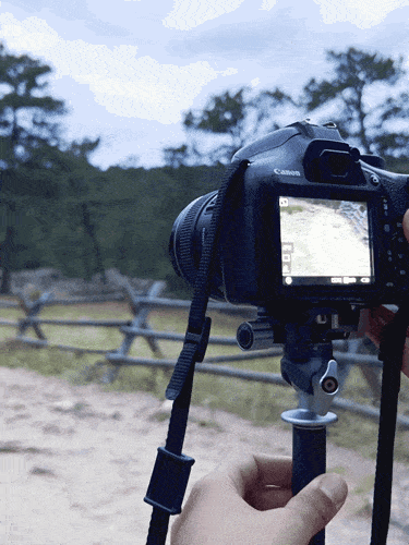 Panoramic shoot from a mounted DSLR on the Benro Tablepod Flex Tripod