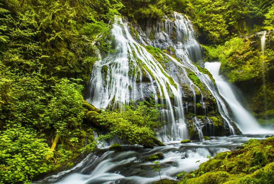 Breathtaking view of Panther Creek Falls gushing down in the mountain covered with greenery