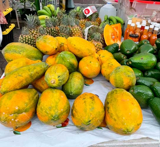 View of papayas on a table in a fruit stand in Market Square