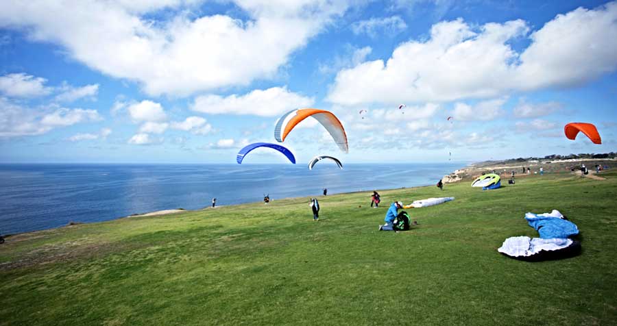 Paragliders enjoying their day under the clear blue sky in Torrey Pines Gliderport
