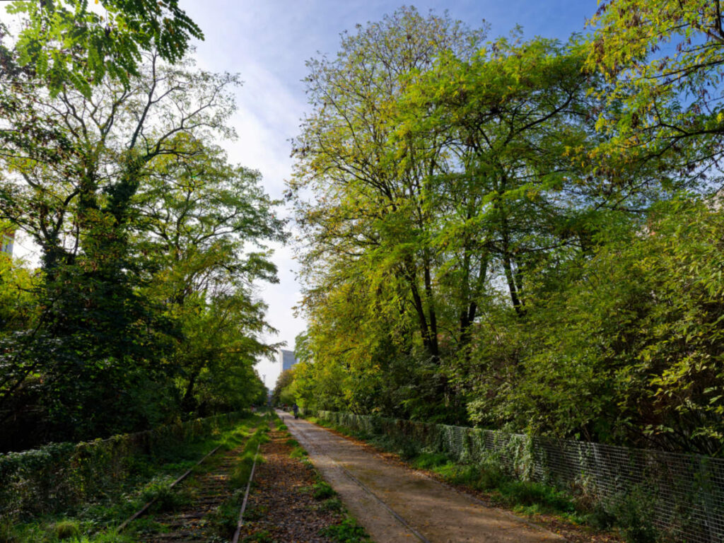 Railway track of the Petite Ceinture Paris' Abandoned Railway